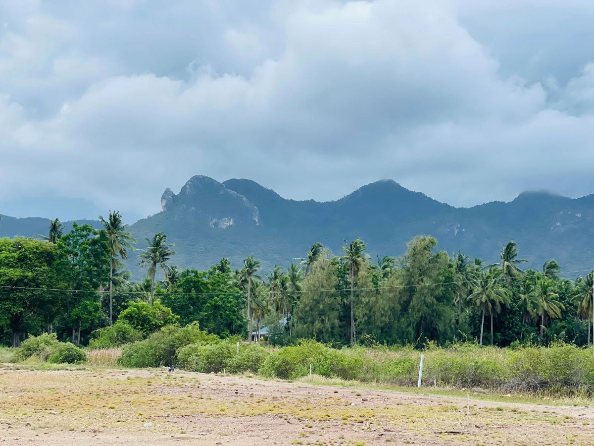 picture Land for sale mountain view 1 kilometer to the beach  - 10/15