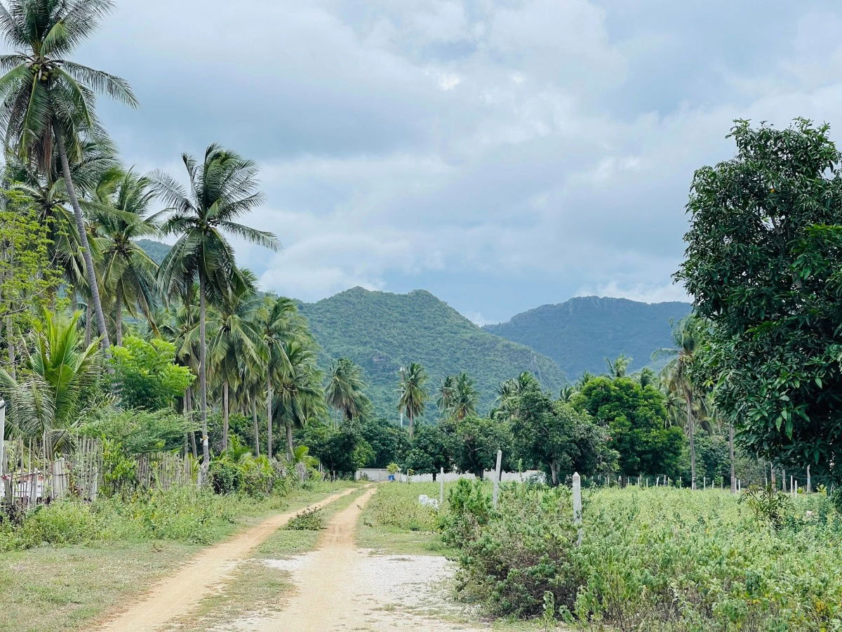 picture Land for sale mountain view 1 kilometer to the beach  - 9/15