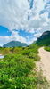 listing thumbnail image 6