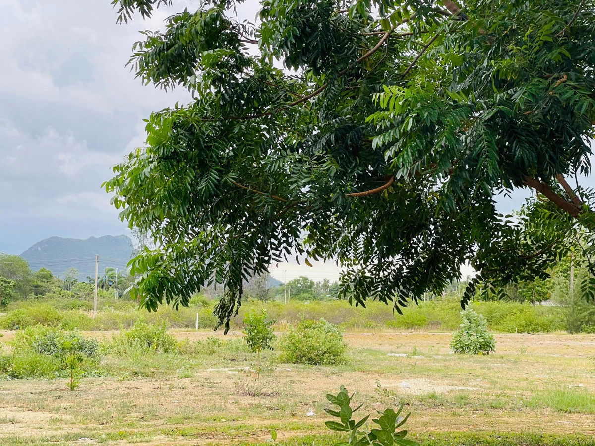 picture Land for sale mountain view 1 kilometer to the beach  - 7/15
