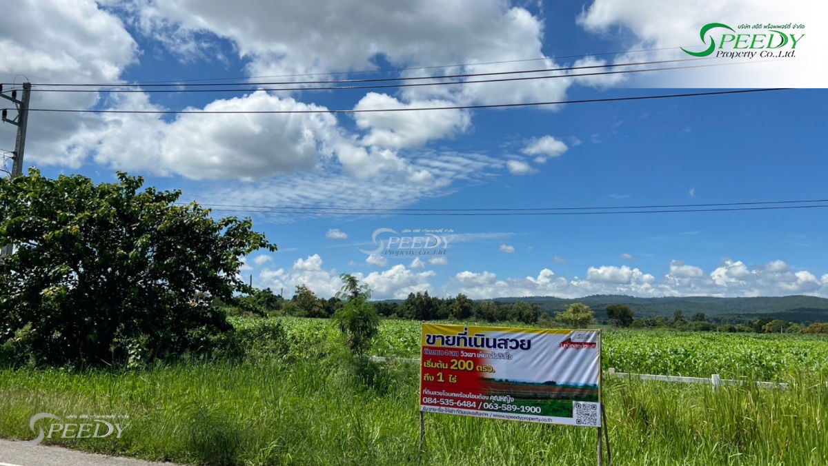 รูป ที่ดิน วิวเขา ภูหลวง โคราช ติดถนน !! - รูปที่ 3/8