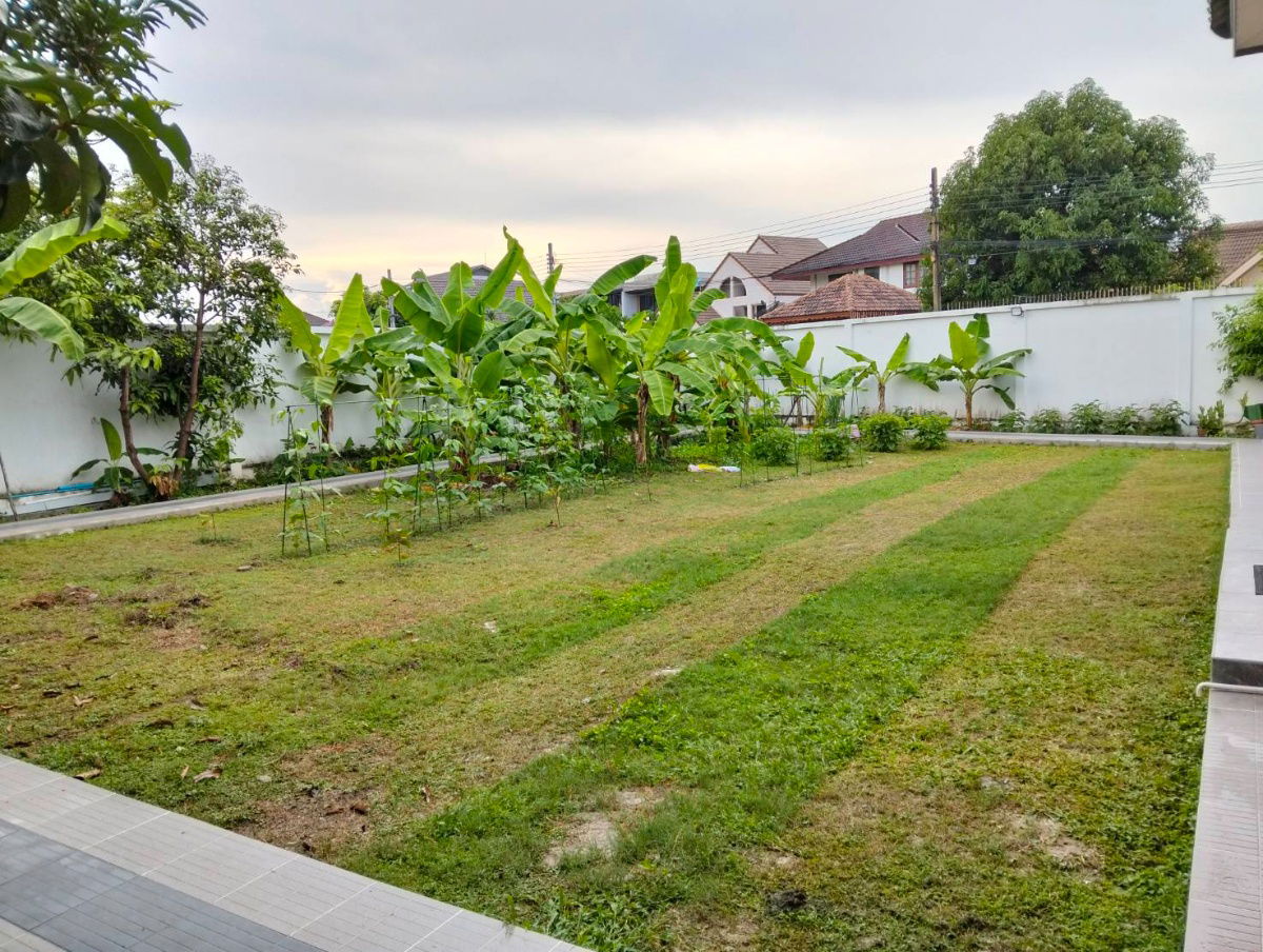 picture House for rent close to Harrow International School Bangkok, Government Complex  - 4/15