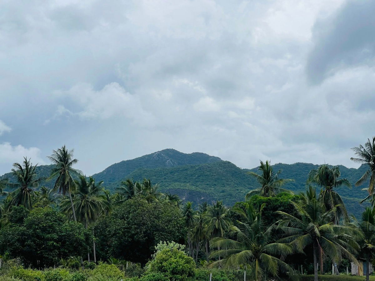 picture Land for sale mountain view 1 kilometer to the beach  - 6/15
