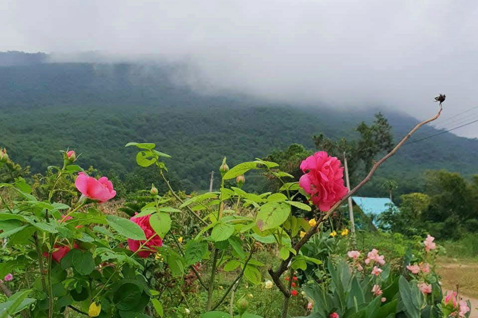 picture Land for Sale (Nor Sor 5) with Vacation Home near Khao Yai — Fresh Air, Surrounded by Mountain Views Area: 3 Rai, 6 Square Wah - 8/14