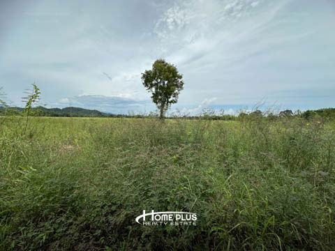 รูป ที่ดินติดถนนนครนายก-เขาทุเรียน อำเภอเมือง นครนายก เนื้อที่ 436 ตารางวา - รูปที่ 11/11
