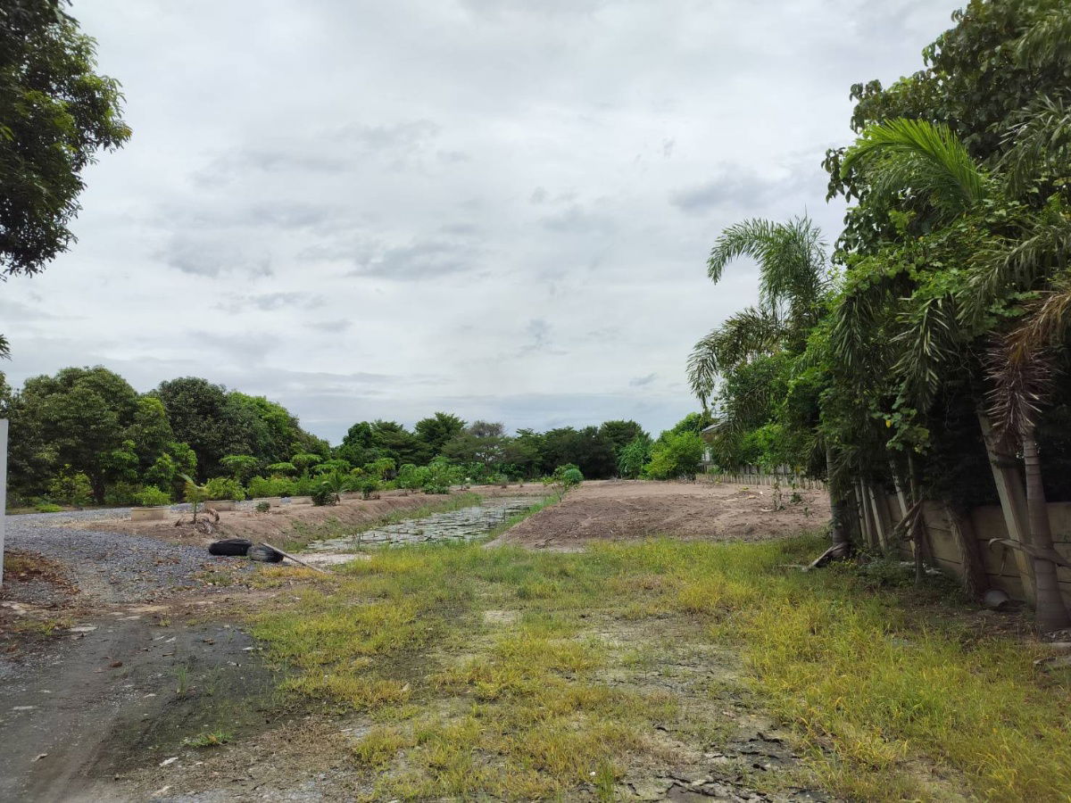 picture Land for Rent in Bang Toei, Sam Khok – 2.5 Rai ideal for Organic farming or general agriculture   Storage yard or warehouse use - 8/10