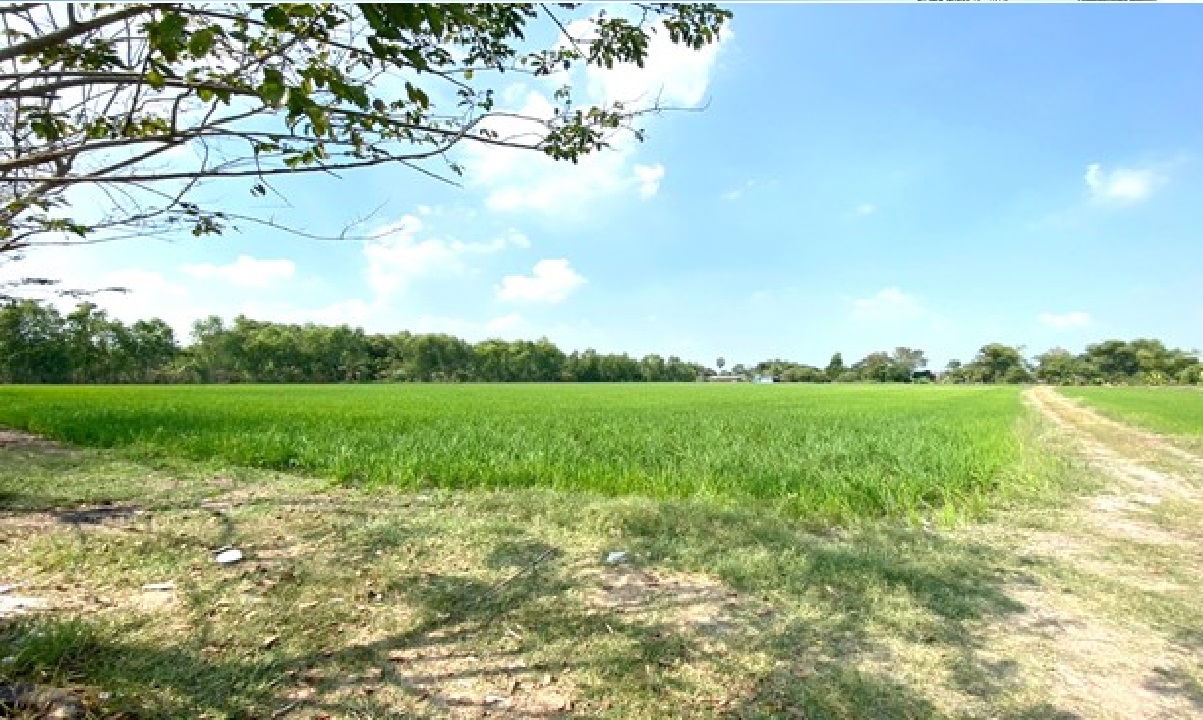 รูป ที่ดินเปล่า เนื้อที่ทั้งหมด 14500 ตารางเมตร ตำบลพืชอุดม อำเภอลำลูกกา ปทุมธานี ราคา 11,963,000 บาท - รูปที่ 3/6