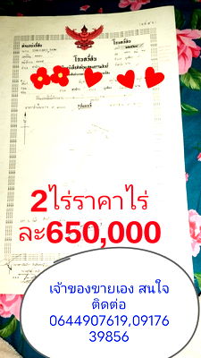 ที่ดิน ภูเพียง น่าน : ที่ดินน่าน น้ำไม่ท่วม โฉนดครุฑแดง ปลอดจำนอง
