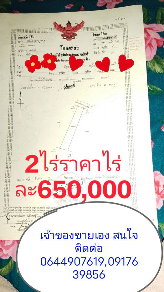 รูป ที่ดินน่าน น้ำไม่ท่วม โฉนดครุฑแดง ปลอดจำนอง - รูปที่ 1/8