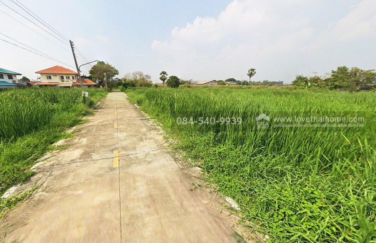 รูป ขายด่วน! ที่ดินเปล่า ถนนรังสิต-ปทุมธานี ซอยบ้านกลาง2/2 พื้นที่ 81 ตรว. - รูปที่ 2/5