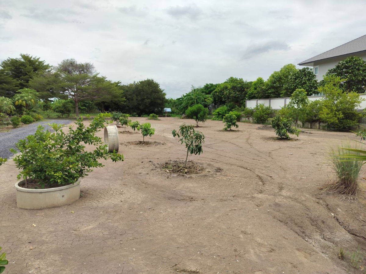 picture Land for Rent in Bang Toei, Sam Khok – 2.5 Rai ideal for Organic farming or general agriculture   Storage yard or warehouse use - 4/10