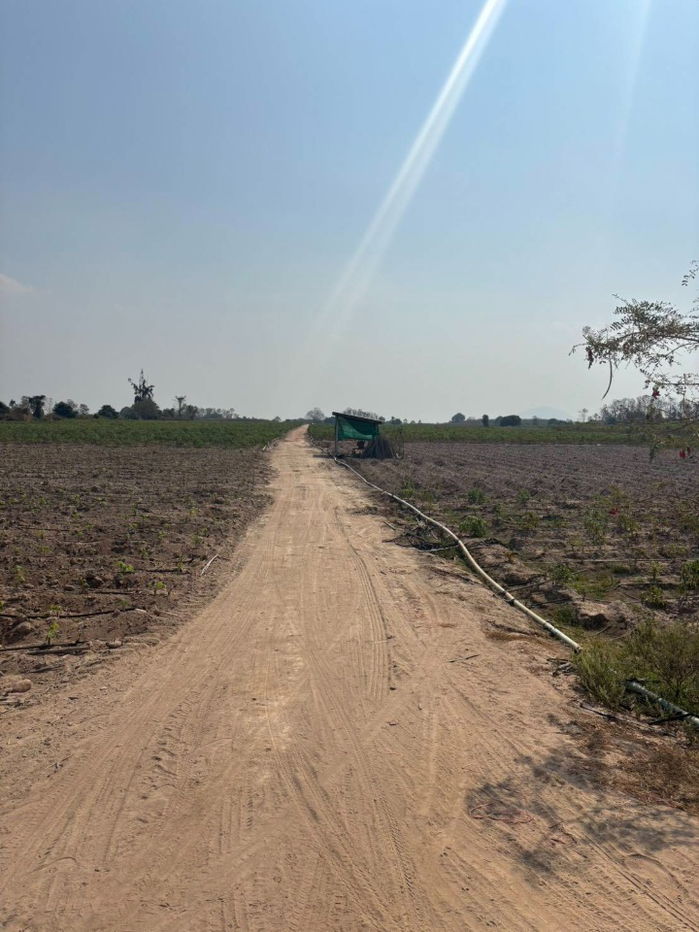 picture Vacant Land for Sale – 31 Rai 3 Ngan in Mueang Kamphaeng Phet District, Kamphaeng Phet Province - 11/11