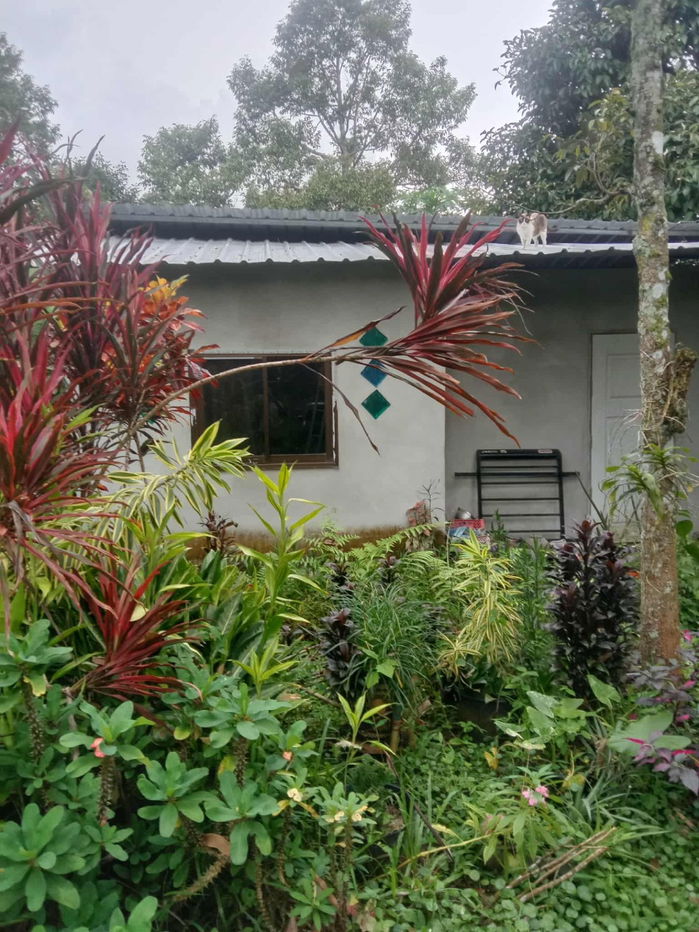 picture Fruit Orchard Land for Sale – 7 Rai, 14M THB, Special 1M Discount This October Only! - 14/14