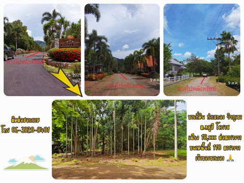 ขายที่ดินเขาใหญ่ ในโครงการ CHALET HILL ถูกกว่าโครงการ