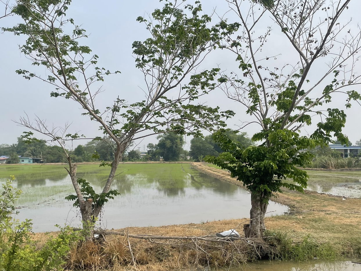 รูป ที่ดินเปล่า เนื้อที่ทั้งหมด 14500 ตารางเมตร ตำบลพืชอุดม อำเภอลำลูกกา ปทุมธานี ราคา 11,963,000 บาท - รูปที่ 4/6