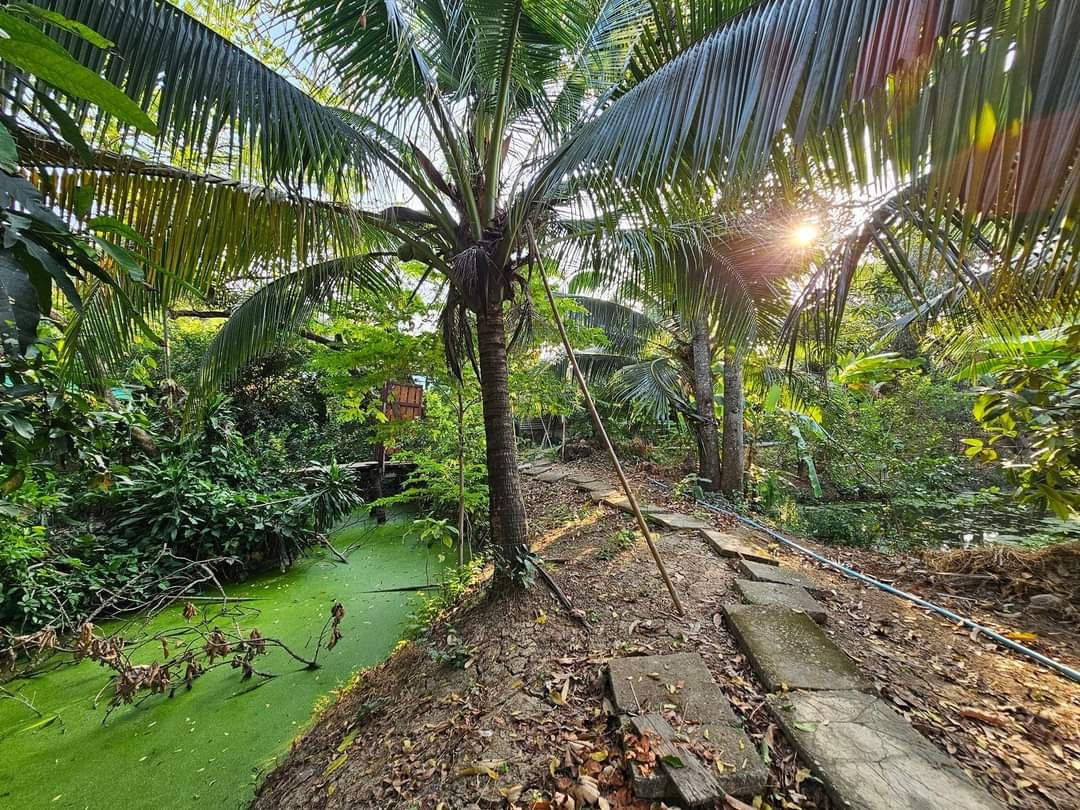 รูป 🏡 ขายบ้านพร้อมที่ดิน ทำเลทอง! ลดราคาขายด่วน 🏡 📍 💰 ราคาพิเศษ: 15,900,000 บาท (ค่าโอนคนละครึ่งประมาณ 500,00💸 แถมพิเศษ: รับรายได้ปีละ 300,000 บาท  - รูปที่ 3/8