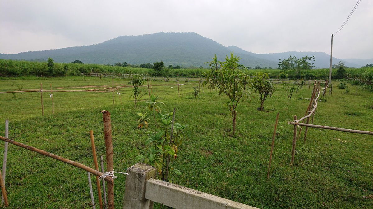 picture Land for Sale – 1 Rai in Pak Chong District, includes a vacation home - 5/9