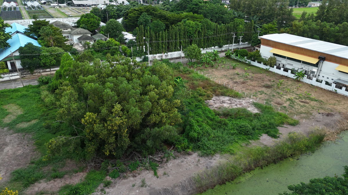 รูป ขายที่ดินจัดสรร มบ. บ้านสวนตะวันธรรม (ติดวัดพระธรรมกาย) ตำบลคลองสอง คลองหลวง ปทุมธานี - รูปที่ 1/5