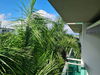 listing thumbnail image 32