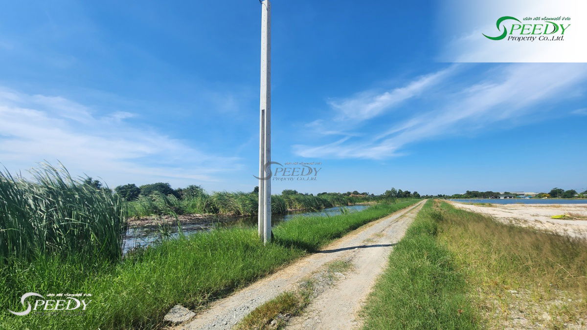 รูป ที่ดิน สมุทรปราการ ที่สวย 3 ไร่ 🌳 เดินทางเข้าออกสะดวก เหมาะแก่การลงทุน 💹 - รูปที่ 2/4
