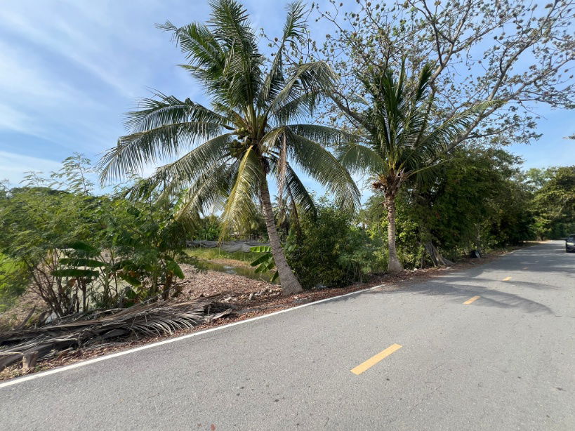 รูป ขายที่ดิน ใกล้บางบัวทอง ไทรน้อย 1 ไร่ - รูปที่ 6/8