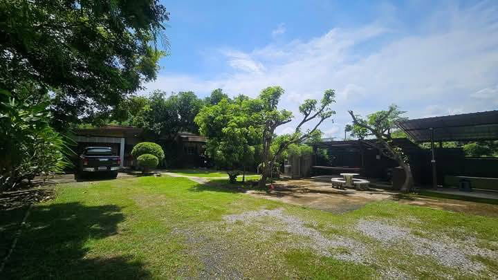 รูป ขายที่ดินพร้อมบ้านสวน ใกล้กาดฝรั่ง ขนาด 290 ตร.ว. บ้านน้ำต้น ซอย 5 แม่ริม เชียงใหม่ - รูปที่ 14/14