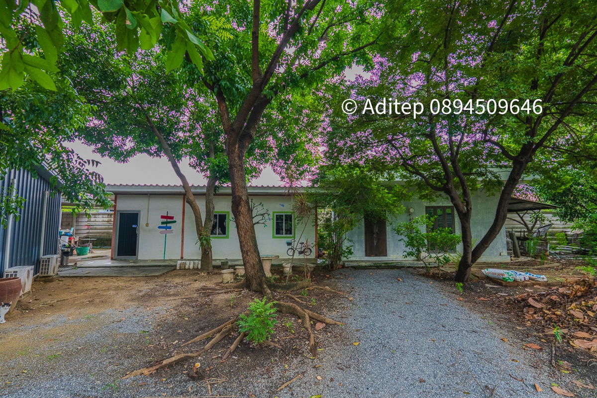รูป ขายบ้านพร้อมที่ดินแปลงใหญ่ 549 ตร.ว. ลาดพร้าว 107 ซอยเดียวกับมหาวิทยาลัยรัตนบัณฑิต (RBAC) - รูปที่ 30/32