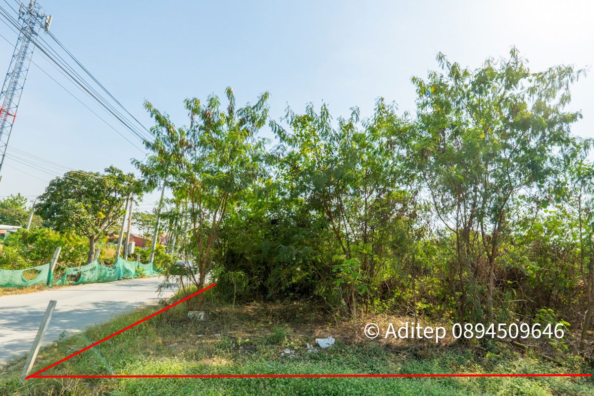 รูป ขาย ที่ดิน ถนนชัยพฤกษ์ ปากเกร็ด 1 ไร่กว่า เข้าซอย 150 ม. ใกล้แม่น้ำเจ้าพระยา ถนนราชพฤกษ์ สะพานพระราม 4 ที่ดินถมแล้ว - รูปที่ 25/26