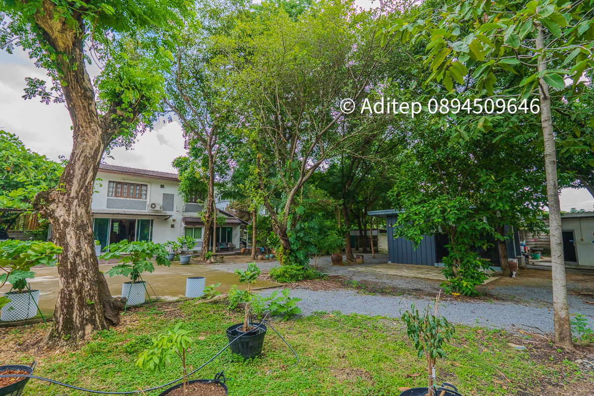 รูป ขายบ้านพร้อมที่ดินแปลงใหญ่ 549 ตร.ว. ลาดพร้าว 107 ซอยเดียวกับมหาวิทยาลัยรัตนบัณฑิต (RBAC) - รูปที่ 31/32