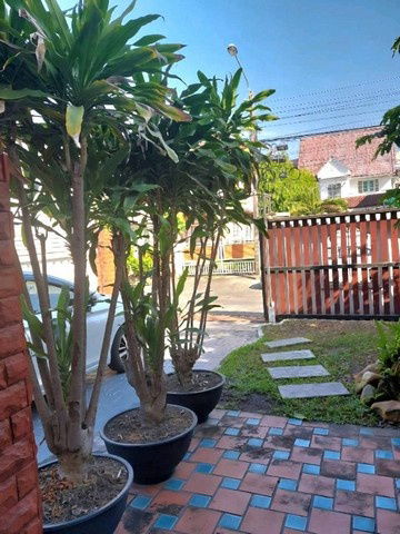 รูป ให้เช่า บ้านเดี่ยว2ชั้น 63ตรว. ถนนเกษตร-นวมินทร์ (ประเสริฐมนูกิจ42) ใกล้เลียบทางด่วนรามอินทรา - รูปที่ 3/8
