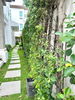 listing thumbnail image 24