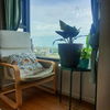 listing thumbnail image 3