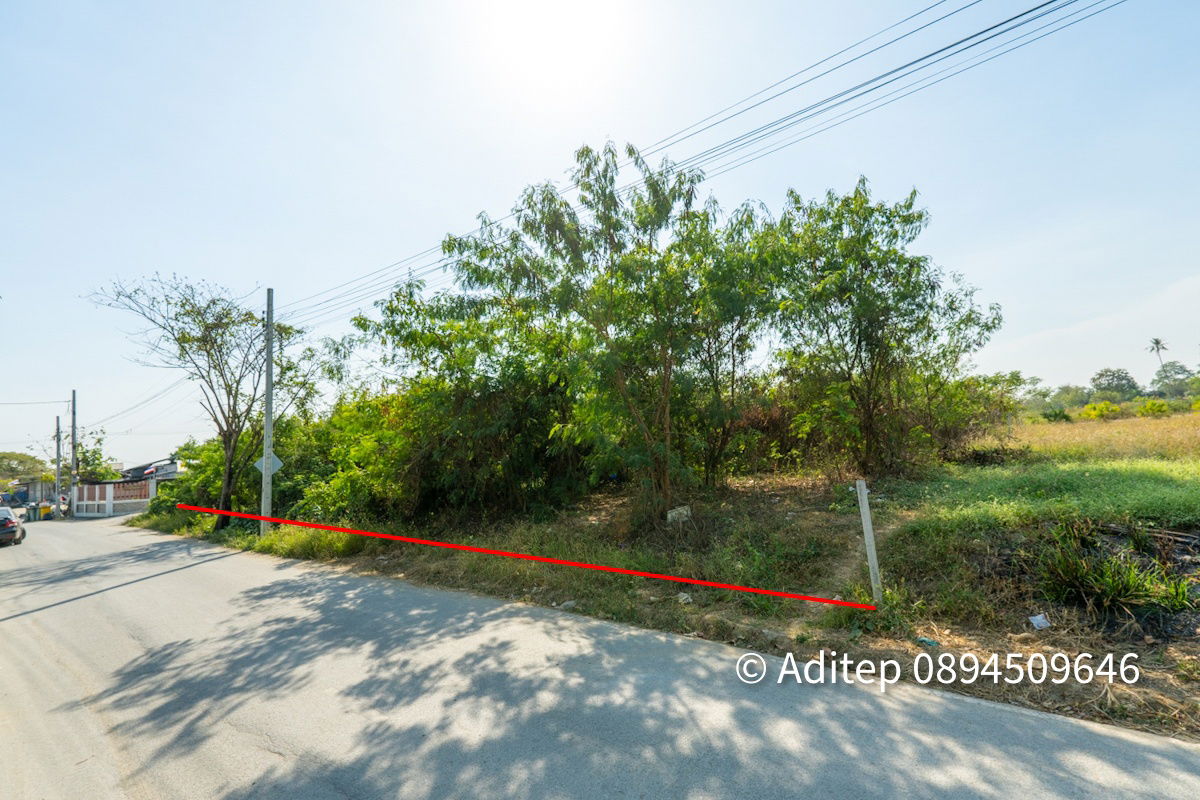 รูป ขาย ที่ดิน ถนนชัยพฤกษ์ ปากเกร็ด 1 ไร่กว่า เข้าซอย 150 ม. ใกล้แม่น้ำเจ้าพระยา ถนนราชพฤกษ์ สะพานพระราม 4 ที่ดินถมแล้ว - รูปที่ 19/26