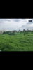 listing thumbnail image 28