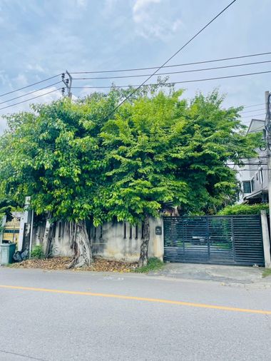 3-bed house for rent, 203 sqm, 117 sq wah, Bang Khen