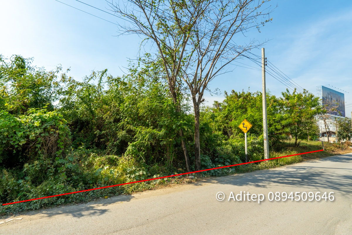 รูป ขาย ที่ดิน ถนนชัยพฤกษ์ ปากเกร็ด 1 ไร่กว่า เข้าซอย 150 ม. ใกล้แม่น้ำเจ้าพระยา ถนนราชพฤกษ์ สะพานพระราม 4 ที่ดินถมแล้ว - รูปที่ 21/26