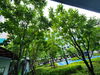 listing thumbnail image 65