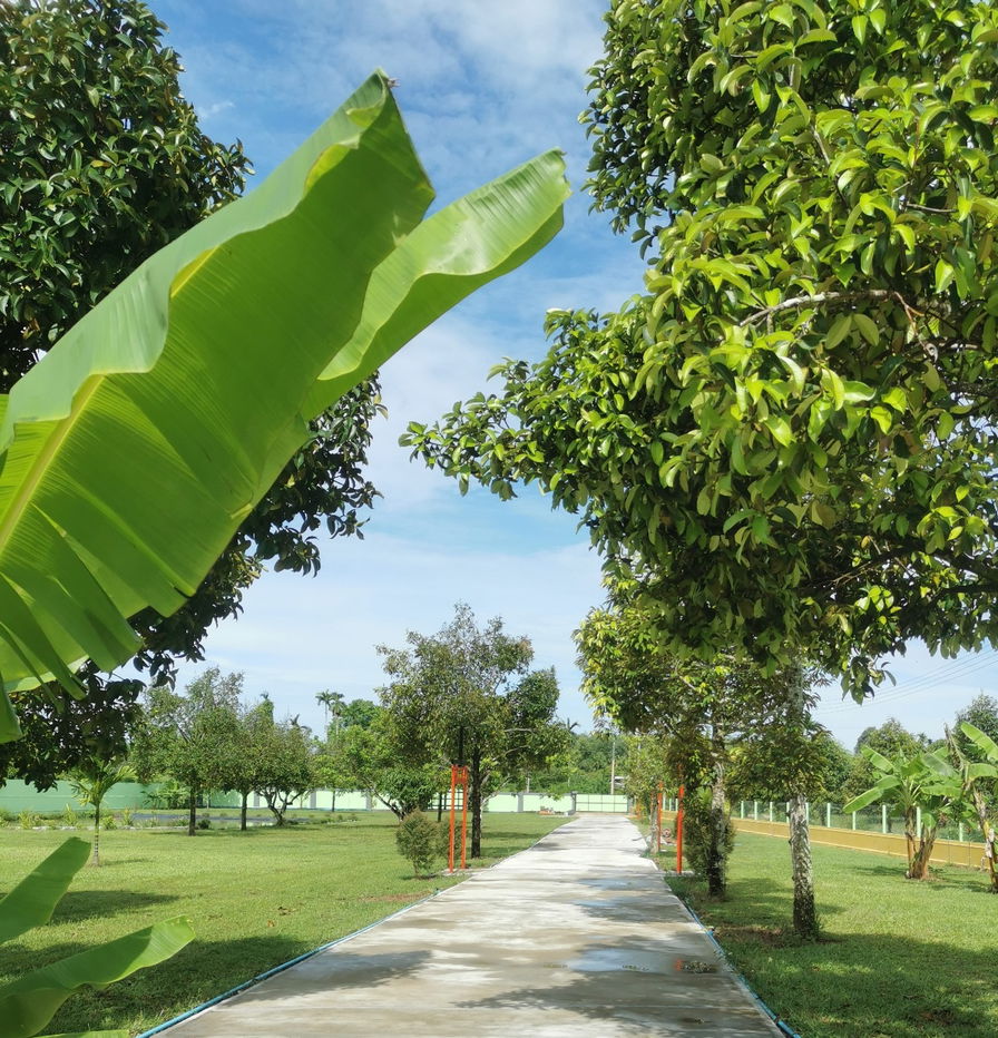 รูป บ้านสวนสวยพร้อมเนื้อที่กว้างใหญ่  - รูปที่ 4/4