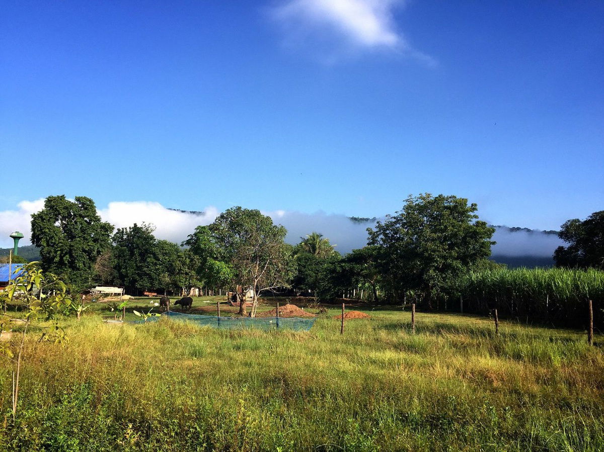 picture Land for Sale – 1 Rai in Pak Chong District, includes a vacation home - 4/9