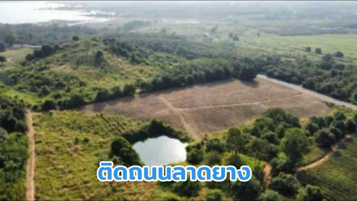 รูป 🏡 ที่สวยใกล้อ่างเก็บน้ำ ขายที่ดินหลังเขาหน้าติดลาดยางดินดีน้ำดีเหมาะสำหรับทำบ้านสวนหรือลงทุน - รูปที่ 1/12