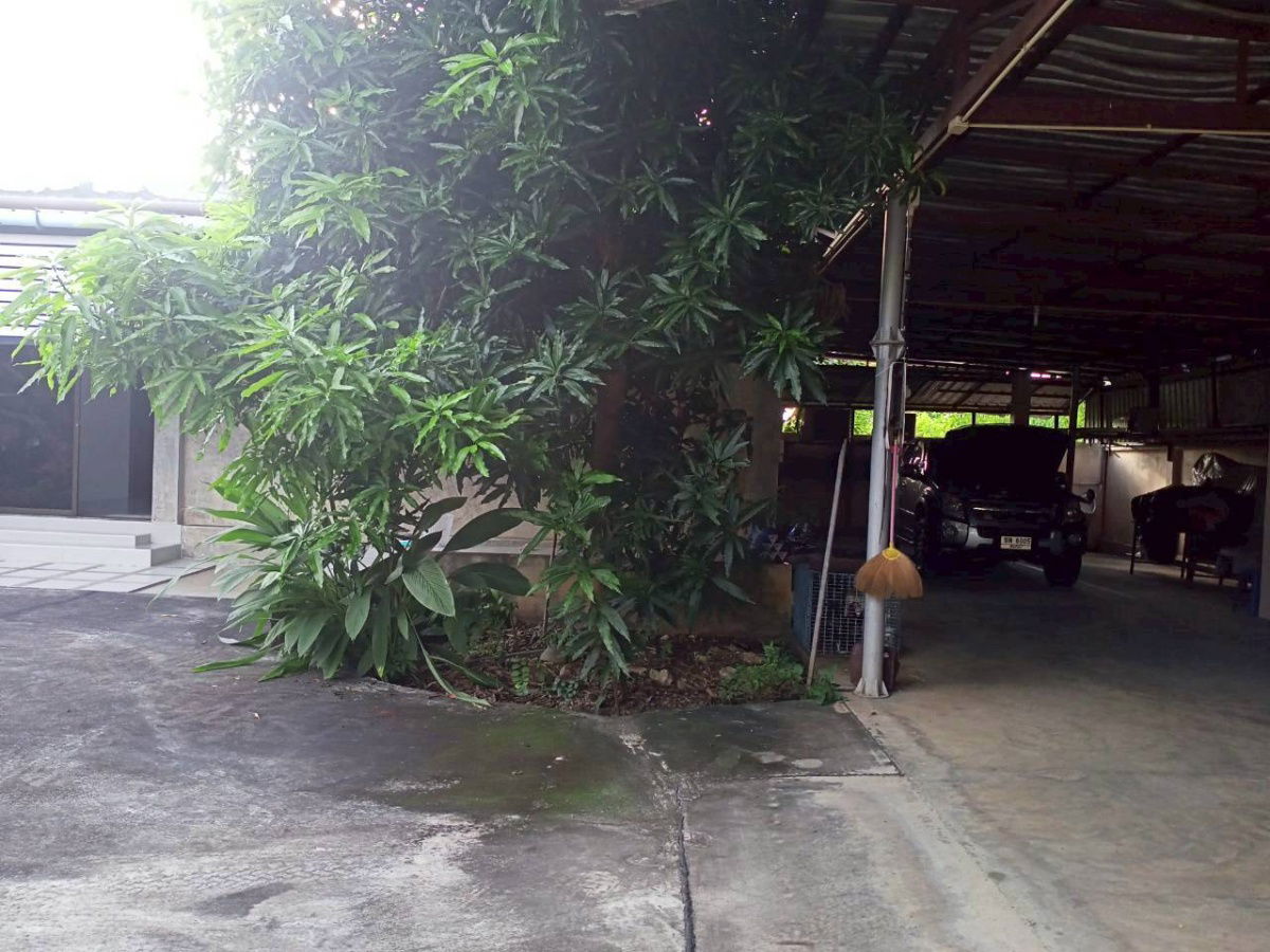 รูป บ้านเดี่ยวให้เช่า เชียงใหม่ ใกล้สนามบิน - รูปที่ 21/22