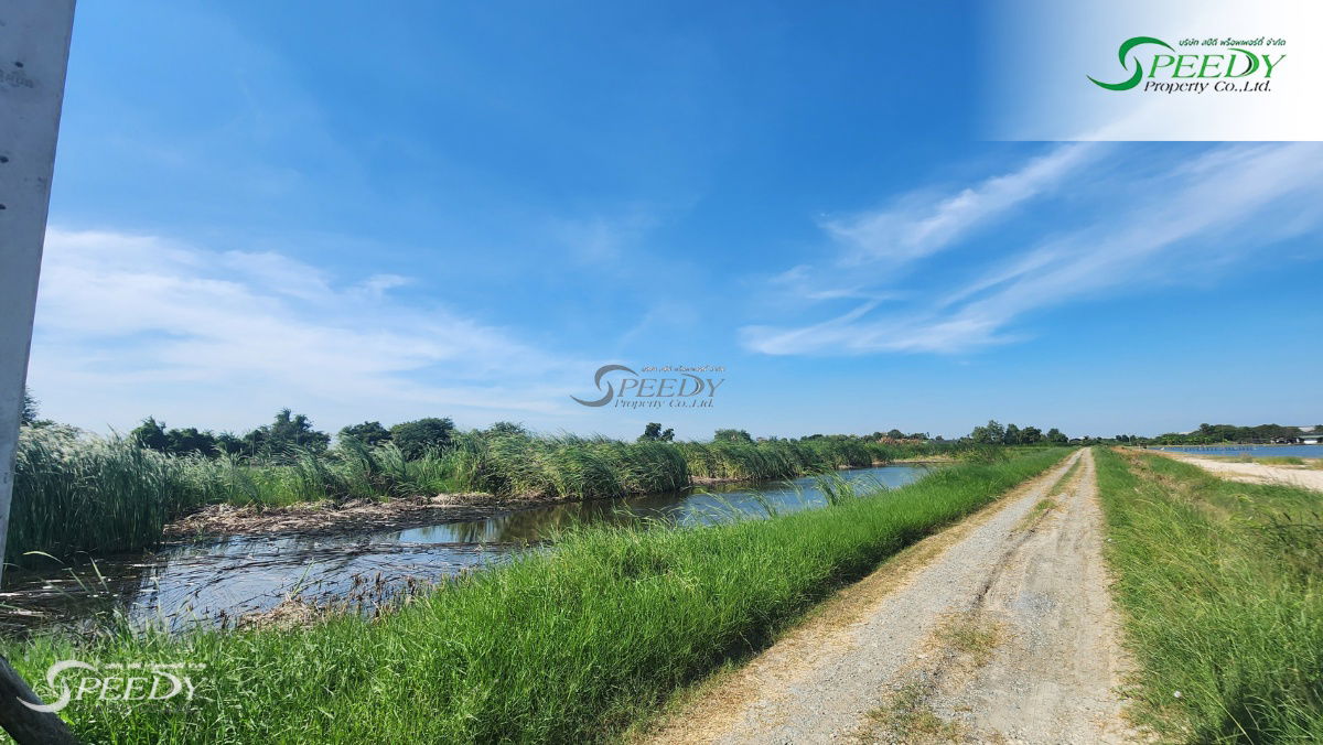 รูป ที่ดิน สมุทรปราการ ที่สวย 3 ไร่ 🌳 เดินทางเข้าออกสะดวก เหมาะแก่การลงทุน 💹 - รูปที่ 1/4