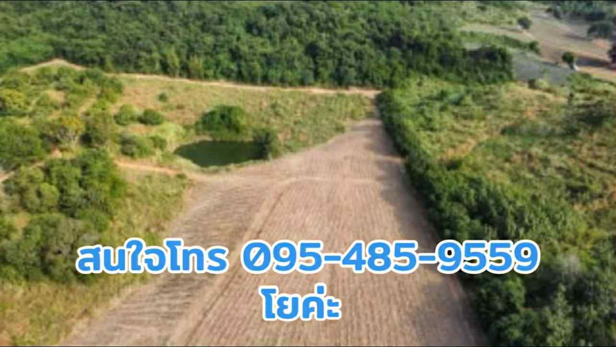รูป 🏡 ที่สวยใกล้อ่างเก็บน้ำ ขายที่ดินหลังเขาหน้าติดลาดยางดินดีน้ำดีเหมาะสำหรับทำบ้านสวนหรือลงทุน - รูปที่ 5/12