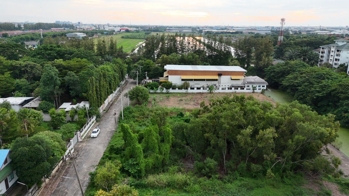 รูป ขายที่ดินจัดสรร มบ. บ้านสวนตะวันธรรม (ติดวัดพระธรรมกาย) ตำบลคลองสอง คลองหลวง ปทุมธานี - รูปที่ 3/5