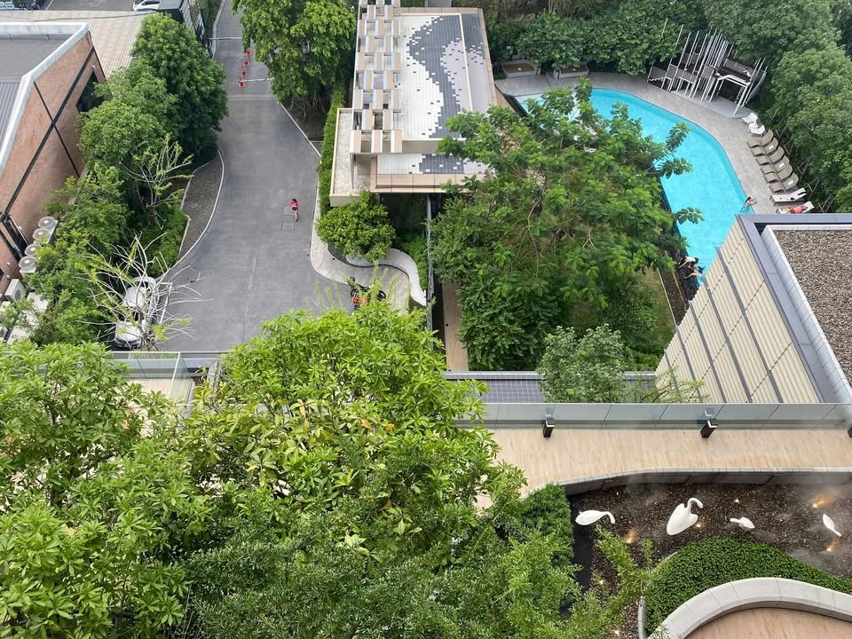 picture For rent ✨ The Base Garden Rama 9 ✨ Fully furnished and equipped, near MRT Rama 9 - 11/11