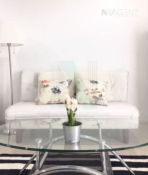 For Rent Regent Home 13 Sukhumvit 93 STUDIO Floor 6 BTS Bang Chak
