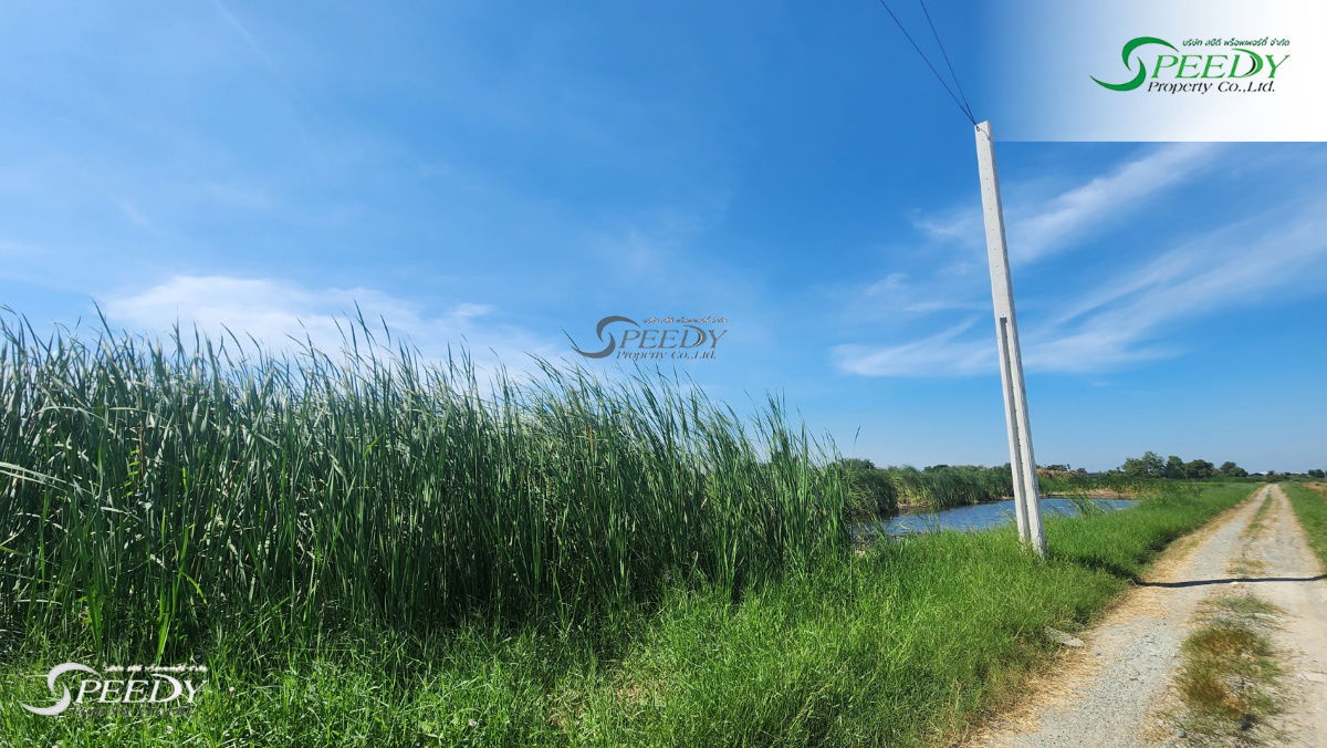 รูป ที่ดิน สมุทรปราการ ที่สวย 3 ไร่ 🌳 เดินทางเข้าออกสะดวก เหมาะแก่การลงทุน 💹 - รูปที่ 3/4