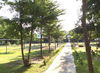 listing thumbnail image 10