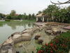 listing thumbnail image 58