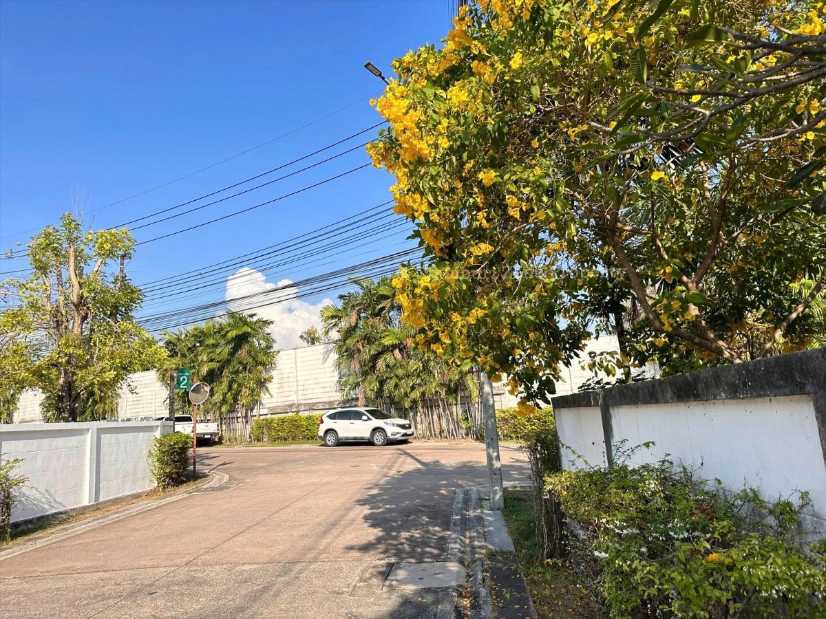 รูป ให้เช่าบ้านเดี่ยวหัวมุม มีเนื้อที่สวน ม.คาซ่าวิลล์ สวนเสือ ศรีราชา - รูปที่ 4/34